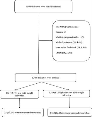 Maternal Undernutrition and Low Birth Weight in a Tertiary Hospital in Sudan: A Cross-Sectional Study